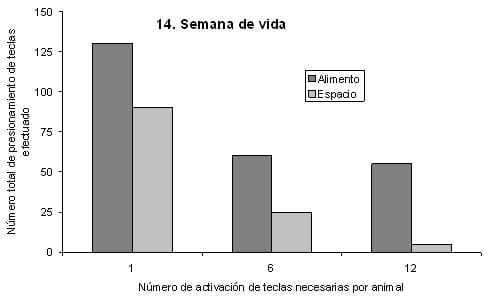 El Bienestar Animal aplicado al conejo. Parte 1: Sistemas de manejo para conejos de carne desde el punto de vista etológico - Image 3