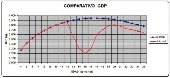 Toxicidad por la combinación de la aflatoxina B1 y la ocratoxina A en cerdos y el uso de un organoaluminosilicato comercial para disminuir sus efectos - Image 7