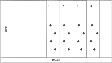 Efectos de la Fertilización y la Coinoculación con Bacterias PGPRs (Bradyrhizobium japonicum + Azospirillum brasilense) en el cultivo de Soja (Glycine Max) - Image 1