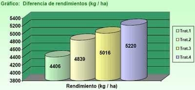 Efectos de la Fertilización y la Coinoculación con Bacterias PGPRs (Bradyrhizobium japonicum + Azospirillum brasilense) en el cultivo de Soja (Glycine Max) - Image 4