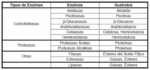 Las Enzimas en los Alimentos para Aves Elaborados con Maíz, Sorgo y Soya: La Necesidad de Usar Proteasas - Image 1