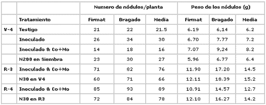El Manejo del Nitrógeno en la Soja: Fijación Biológica o Fertilización? - Image 3