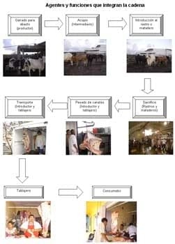 Condiciones de Sacrificio de Ganado Bovino en Rastros Municipales de la Región del Papaloapan, Veracruz: Características y Limitantes - Image 3