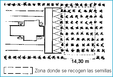 Eficiencia de recolección en cosecha gruesa. Soja, Maíz y Girasol - Image 2
