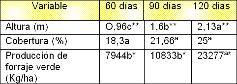 Suplementación con follaje de Acacia decurrens, Chusquea scadens y Solanum Tuberosum a vacas Holstein en producción en el municipio de Ubaque (Cundinamarca) - Image 6