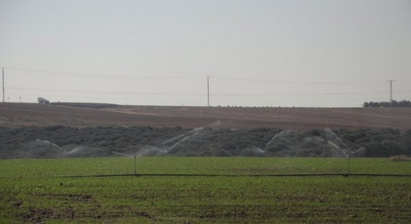 Daniel Werner: “El sistema de producción no puede seguir funcionando tal como lo hace” - Image 3