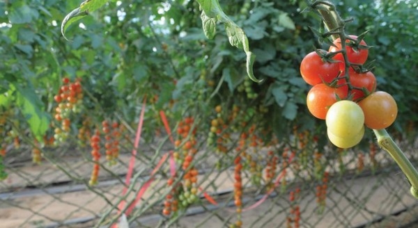 Daniel Werner: “El sistema de producción no puede seguir funcionando tal como lo hace” - Image 2