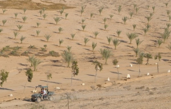 Daniel Werner: “El sistema de producción no puede seguir funcionando tal como lo hace” - Image 4