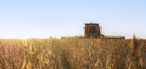 Argentina - Presentan visualizador económico para producciones agropecuarias - Image 1