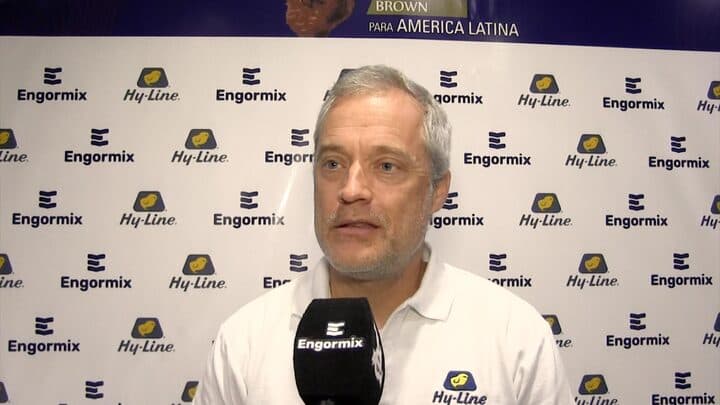 Sustentabilidad en la industria avícola: Más huevos con el mismo alimento