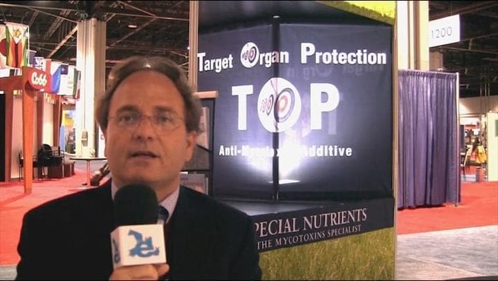 Granos contaminados con micotoxinas, Fernando Tamames (Special Nutrients)